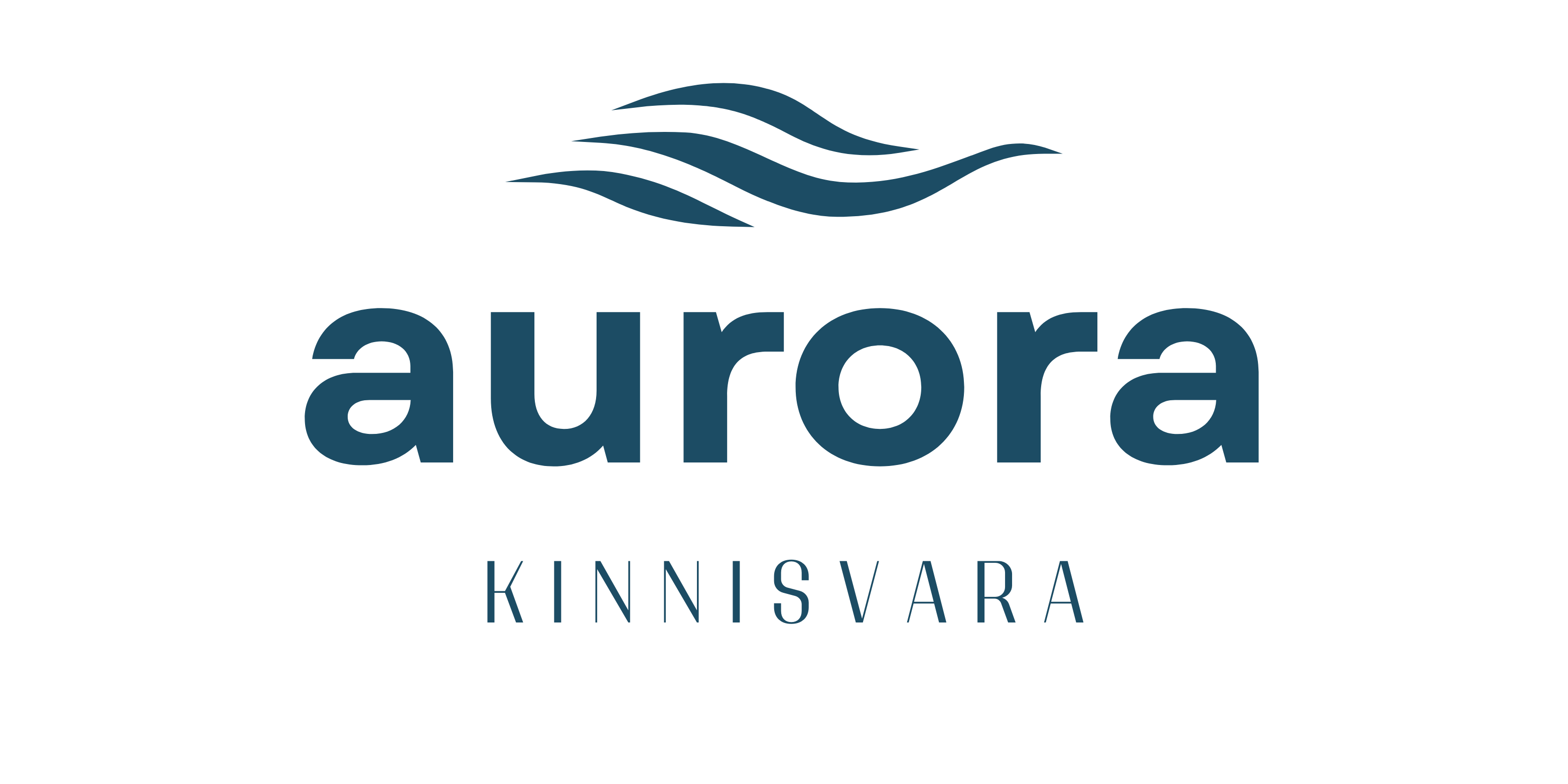 aurora kinnisvara final transparent back sinine.png